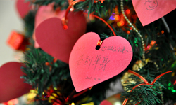 心愿树散发温暖气息